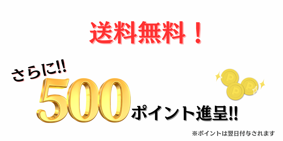 送料無料・1000ポイント進呈キャンペーン
