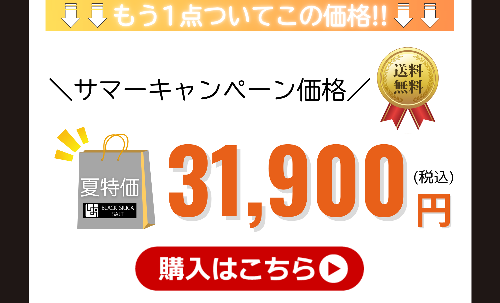 【Bコース】ご購入はこちら