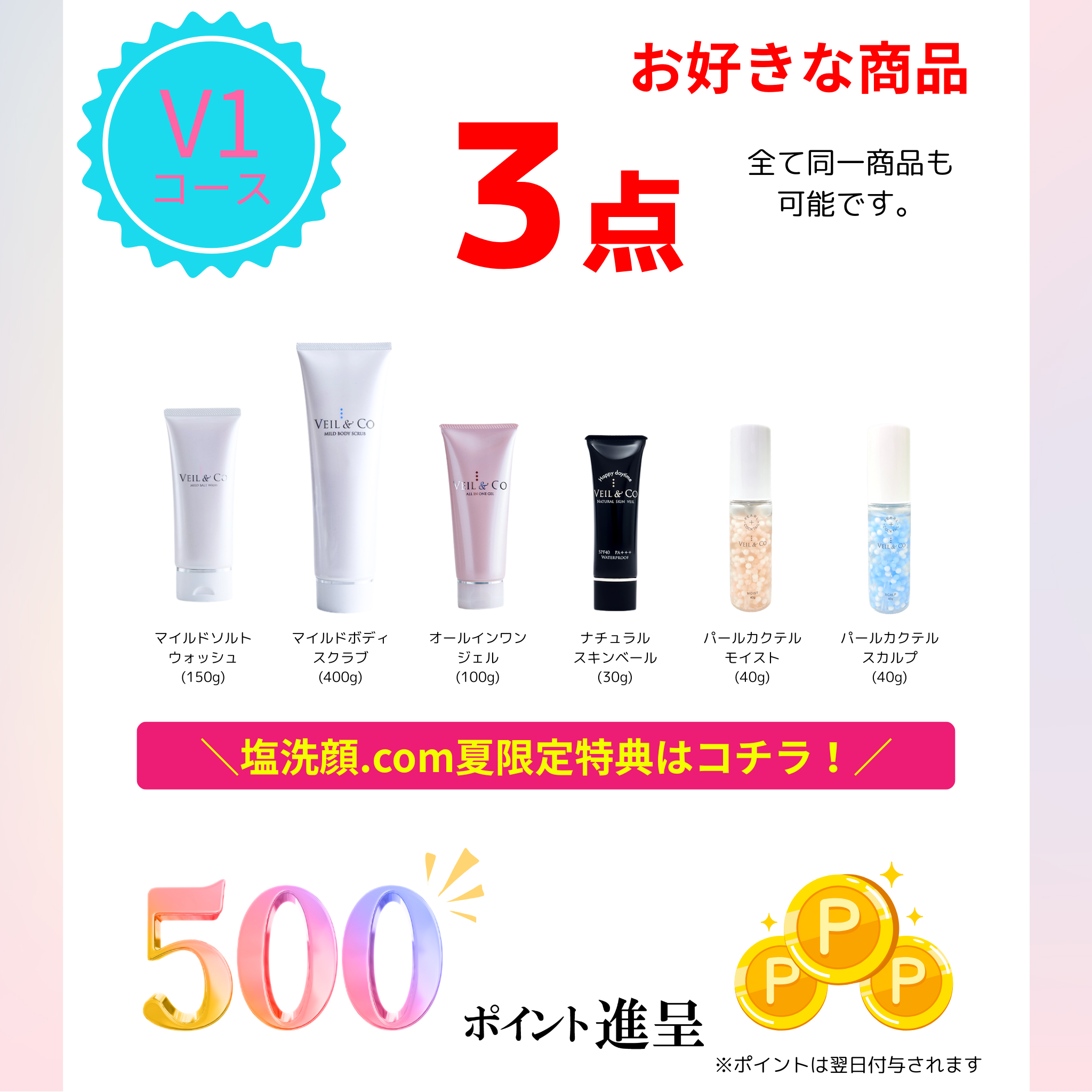 【V1コース】 お好きな商品3点