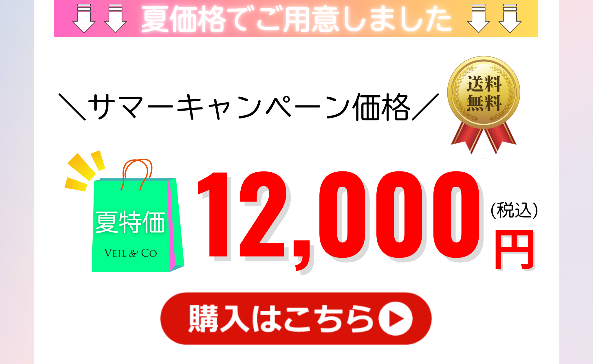 【V1コース】ご購入はこちら