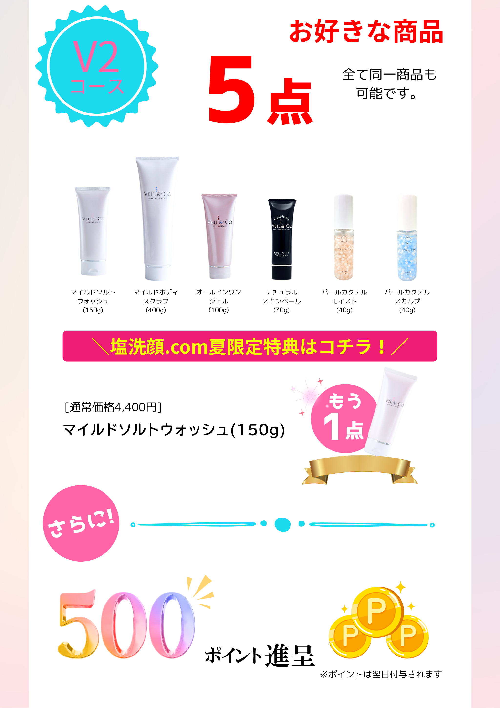 【V2コース】 お好きな商品5点