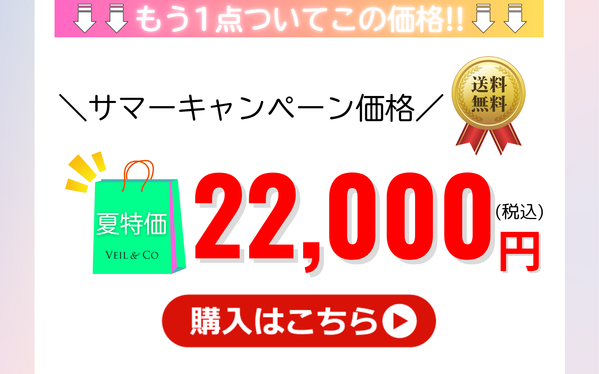 【V2コース】ご購入はこちら