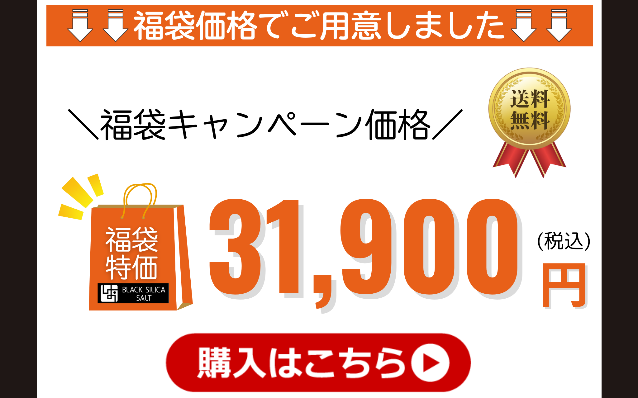 【Bコース】ご購入はこちら